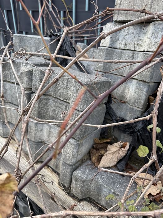 Kostka brukowa 1 zł sztuka