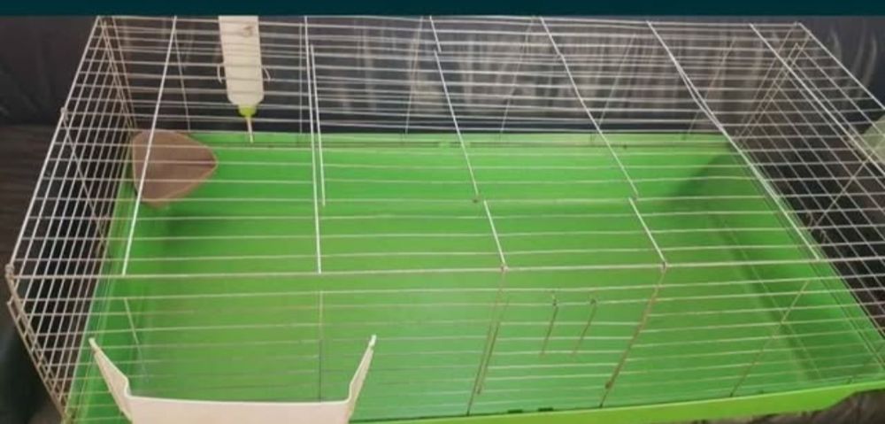 Duża klatka dla królika, świnki morskiej
