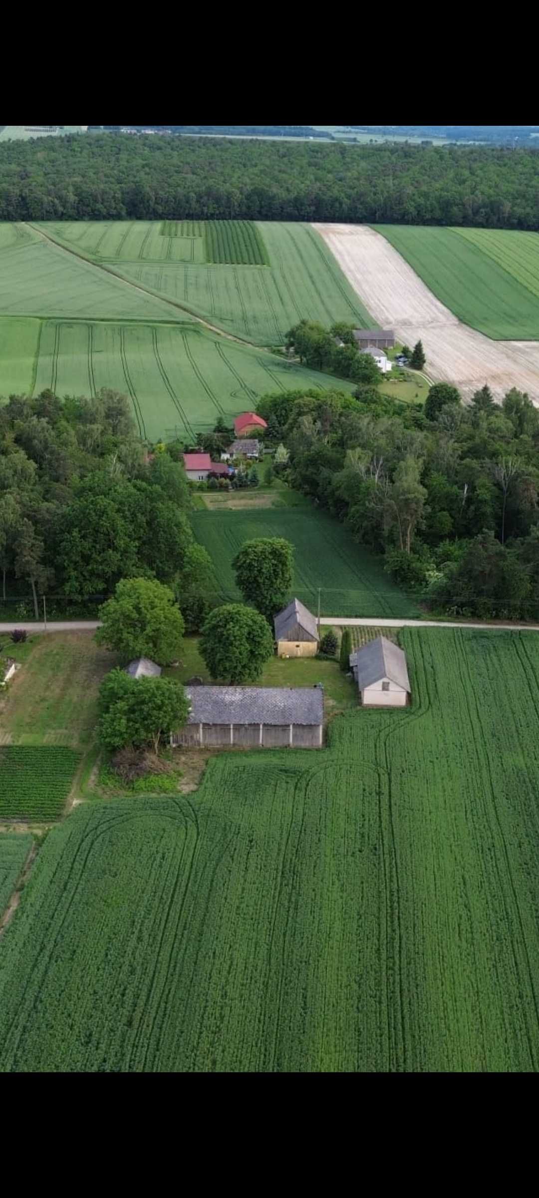 Siedlisko Bielecha