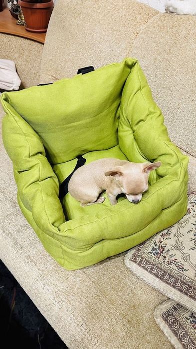 Автокрісла для собак