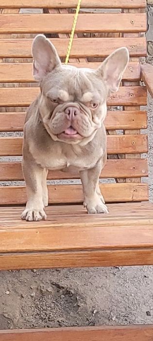 Молодий шикарний красень