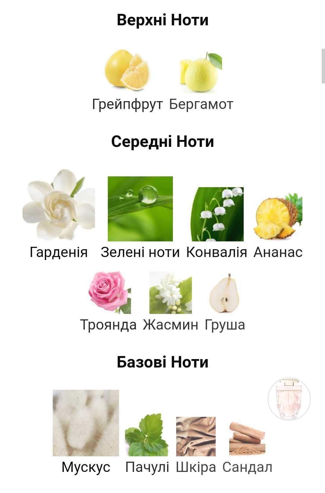Cartier La Panthere Eau de Toilette туалетна вода 50 ml