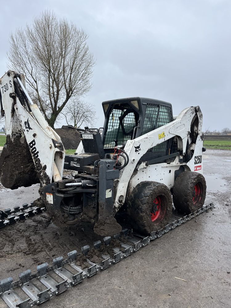 Бобкет бобкат bobcat на гусеницях