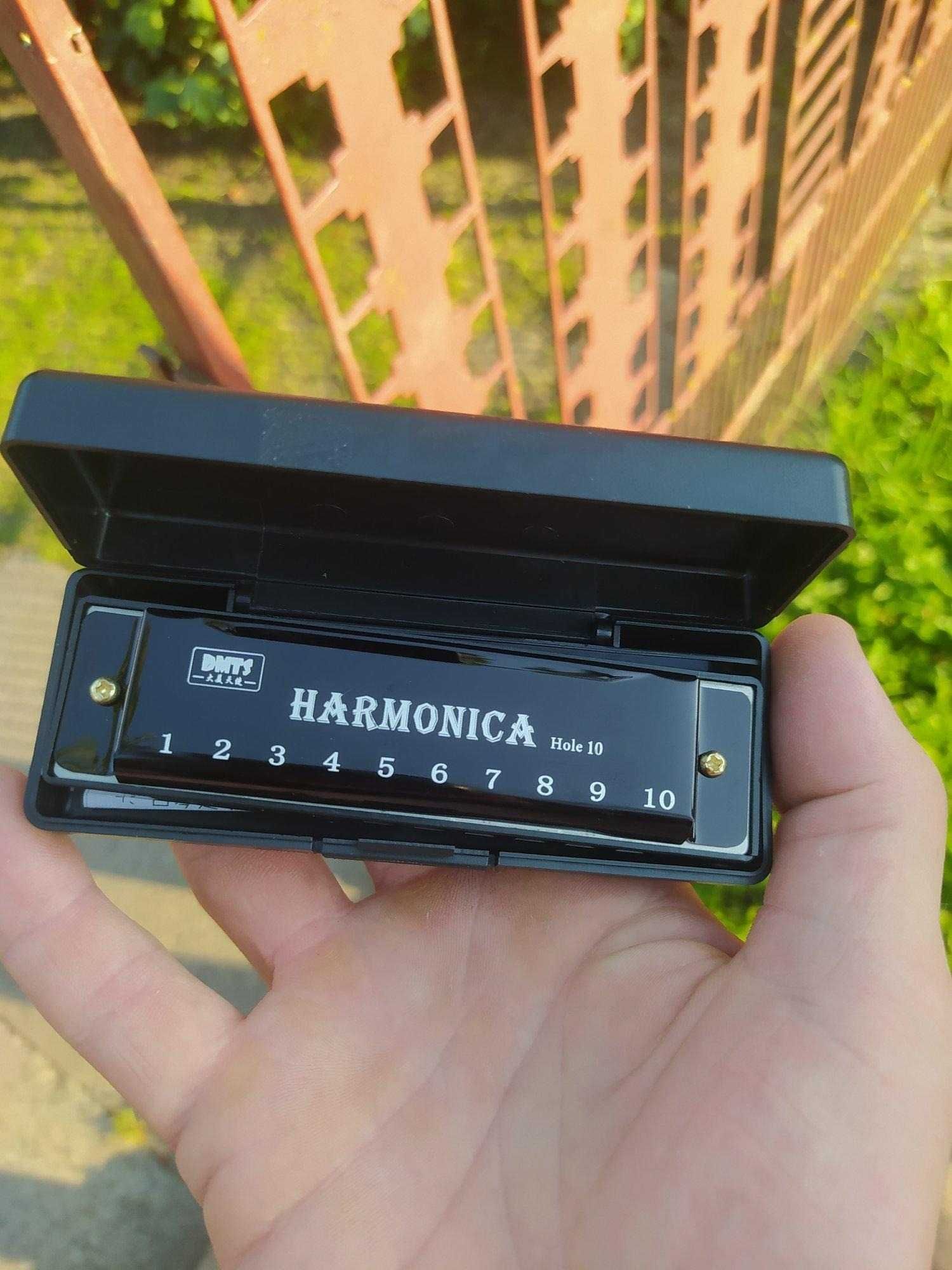 Найкращий подарунок! Губна гармошка блюзова для початківців Harmonica