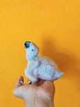 Arara ararauna bebe para criar a mão