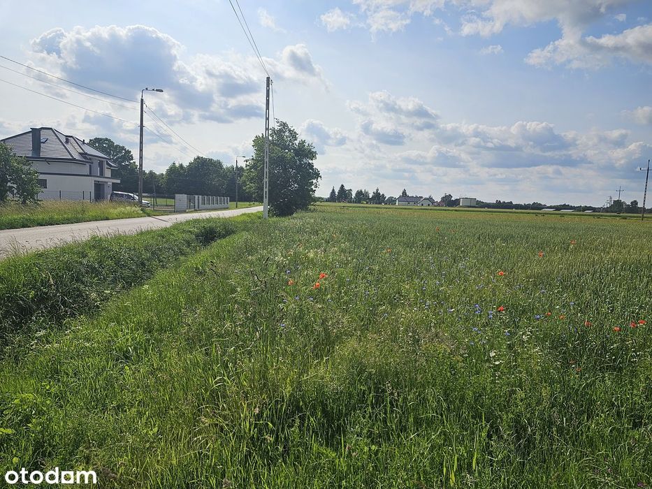 Uchwalony plan; b. dobry dojazd do W-wy; szkoła, PKP. Nowe domy