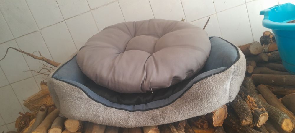 Cama de cao medio