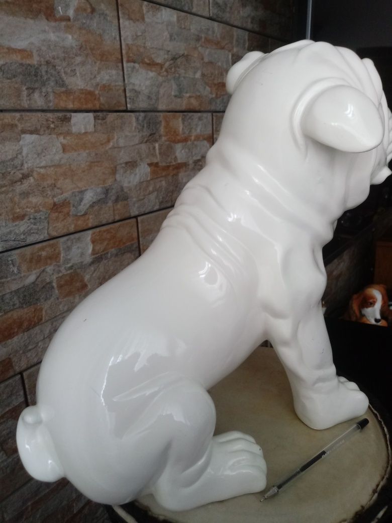 Masa plastyczna duzy pies mops