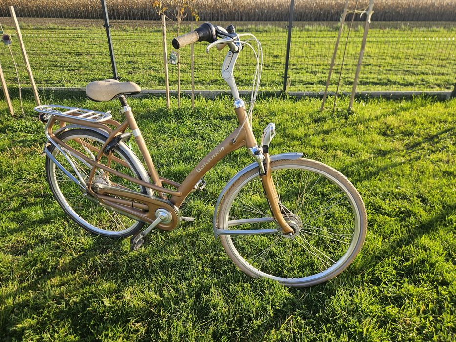 Rower Holenderski Batavus