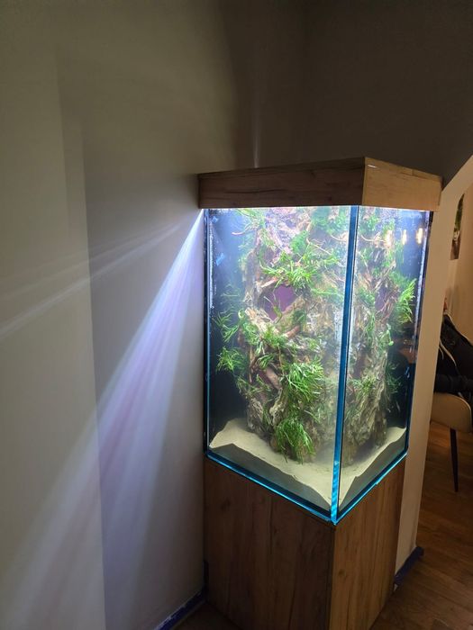 Zakładanie/serwis akwarystyczny