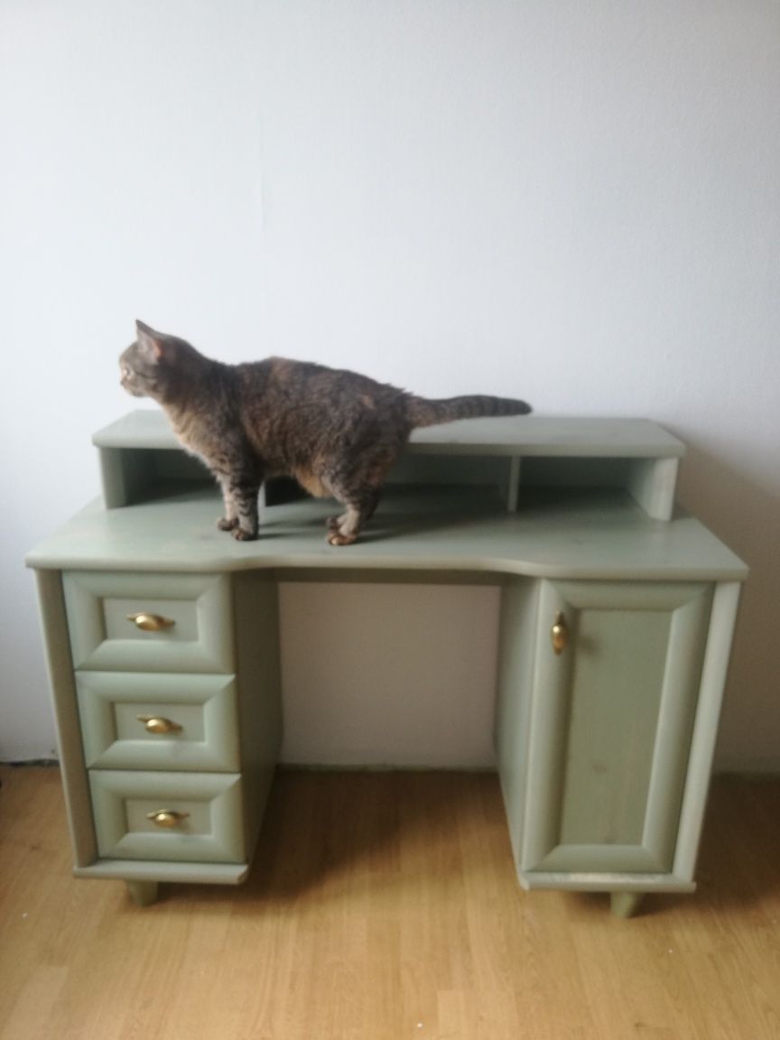 Toaletka zielona biurko