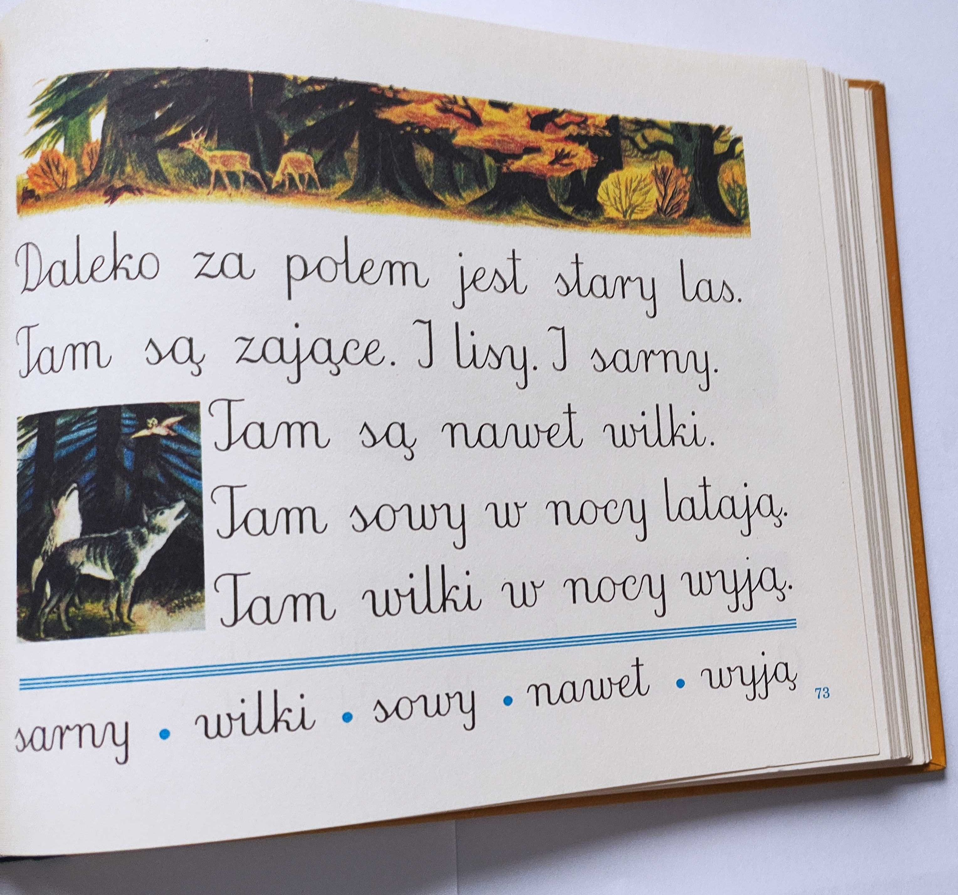 Elementarz, podręcznik
