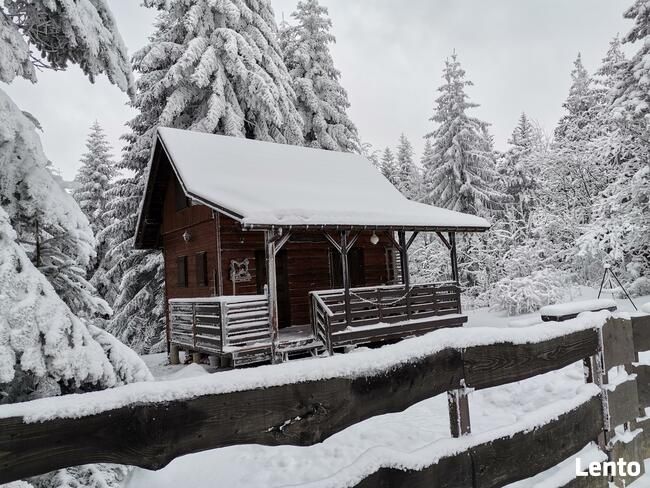 Domki w Beskidach