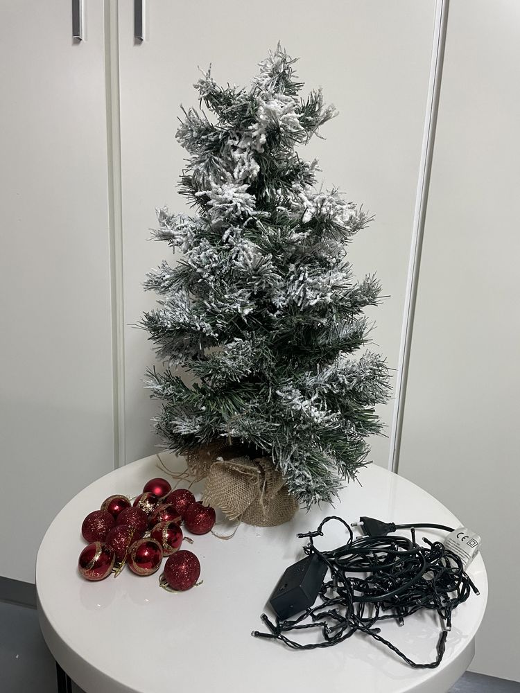 Pinheiro de natal