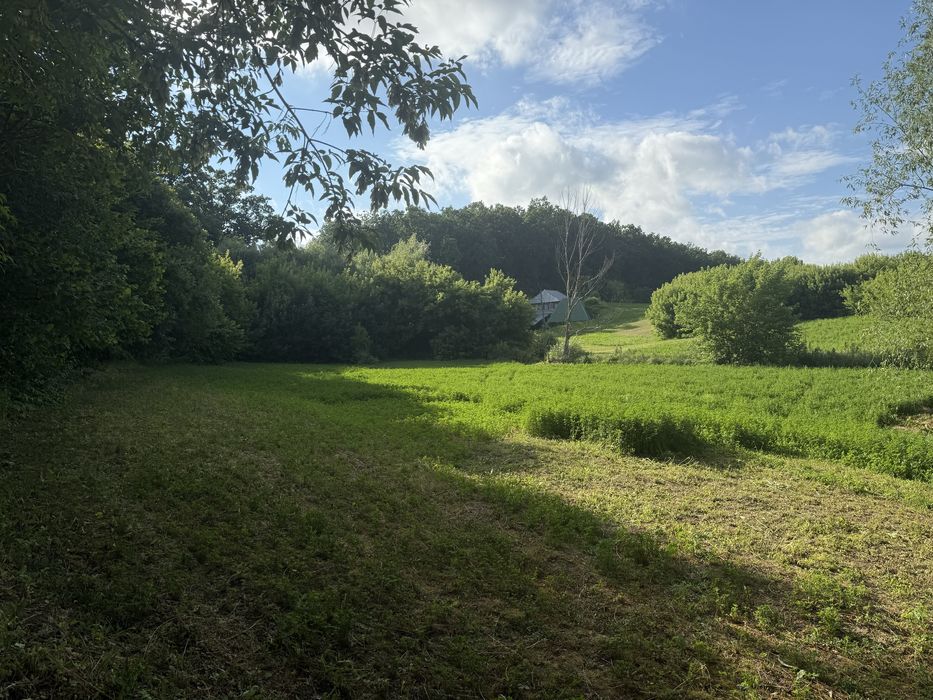 Продам будинок біля лісу