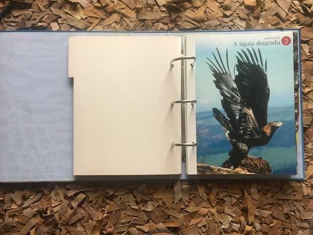 O Fascinante Mundo animal