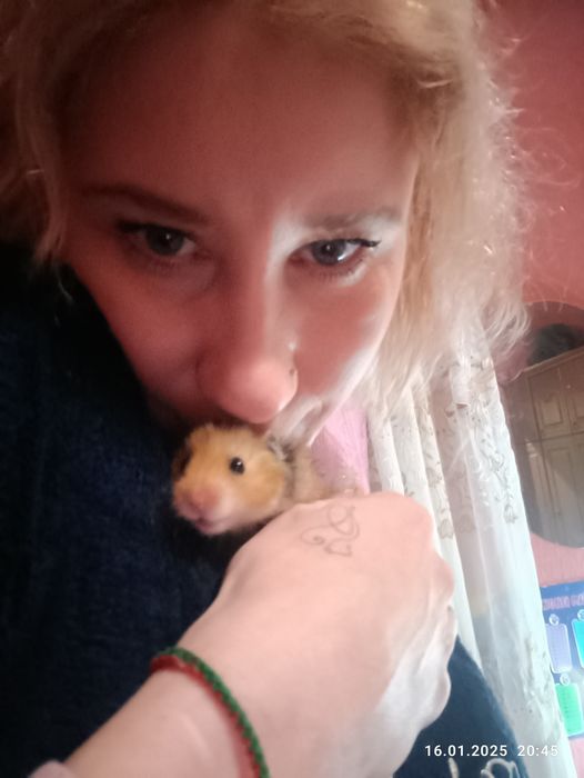 Гризуни в добрі руки