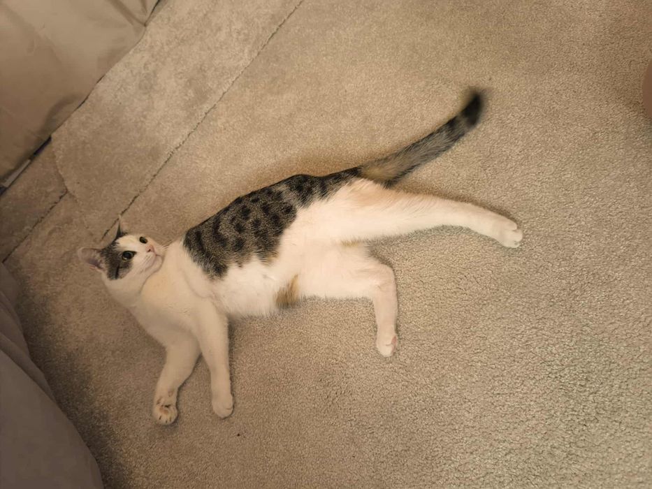 Od 4 tygodni liczymy na cud, że ktoś ją pokocha...