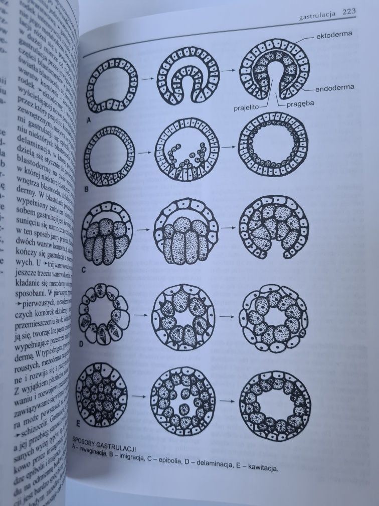 Biologia - Encyklopedia szkolna