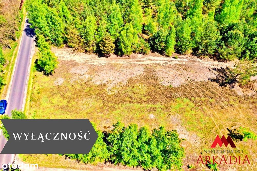 Działka w otoczeniu lasu/Powiat Włocławek
