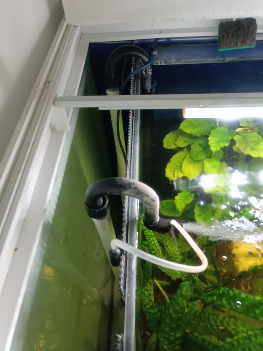 Akwarium 500l cały zestaw