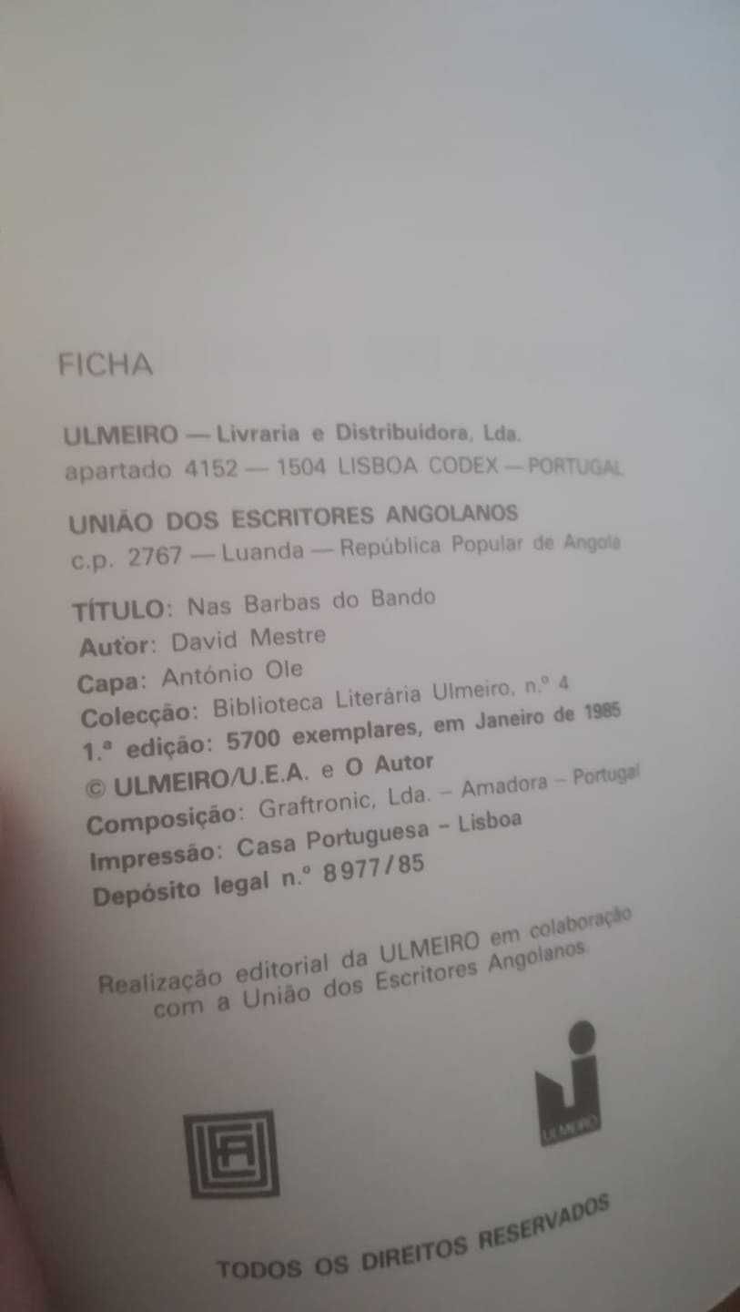 Nas barbas do bando - David Mestre