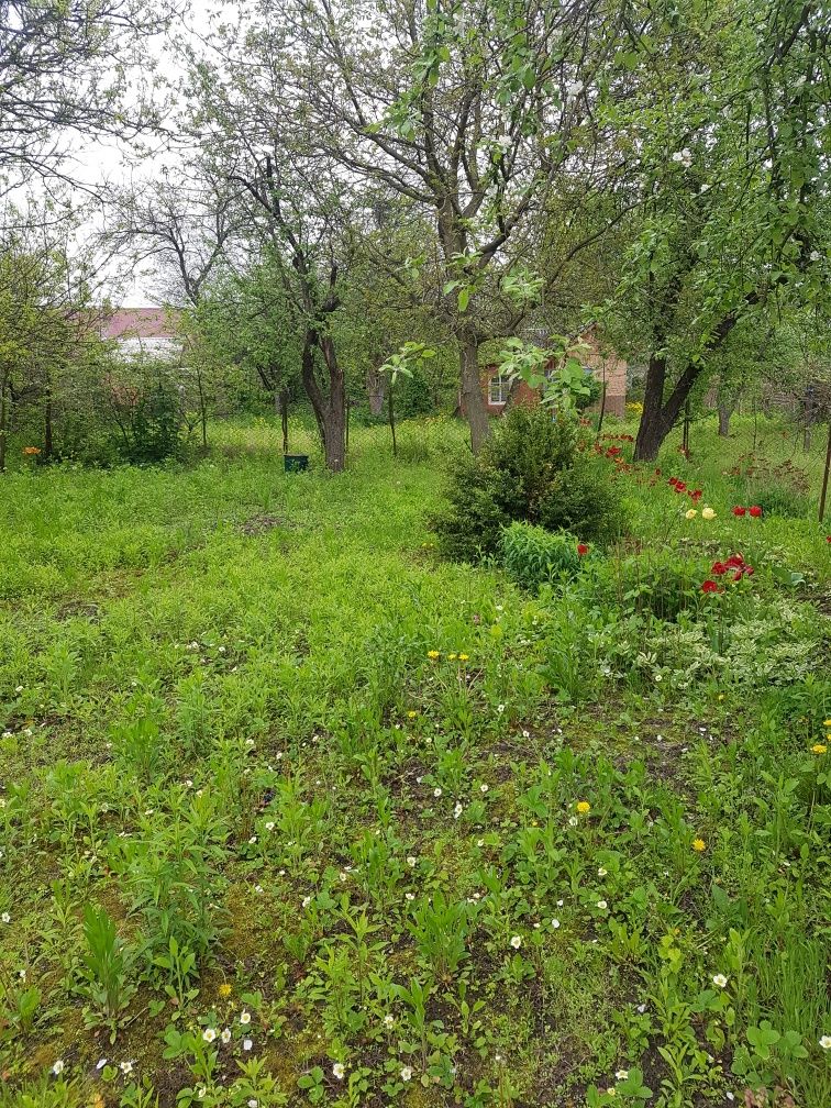 Продаж  зкмельної ділянки 22 сот, Ст. Боромикі, друга ліні, р.Десна