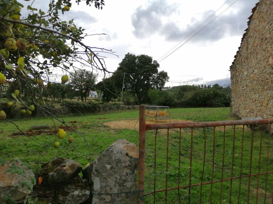 Terreno em Zava, Mogadouro