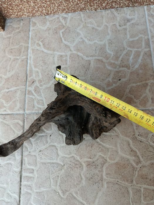 Коряга корч для аквариума дерево Ольхи