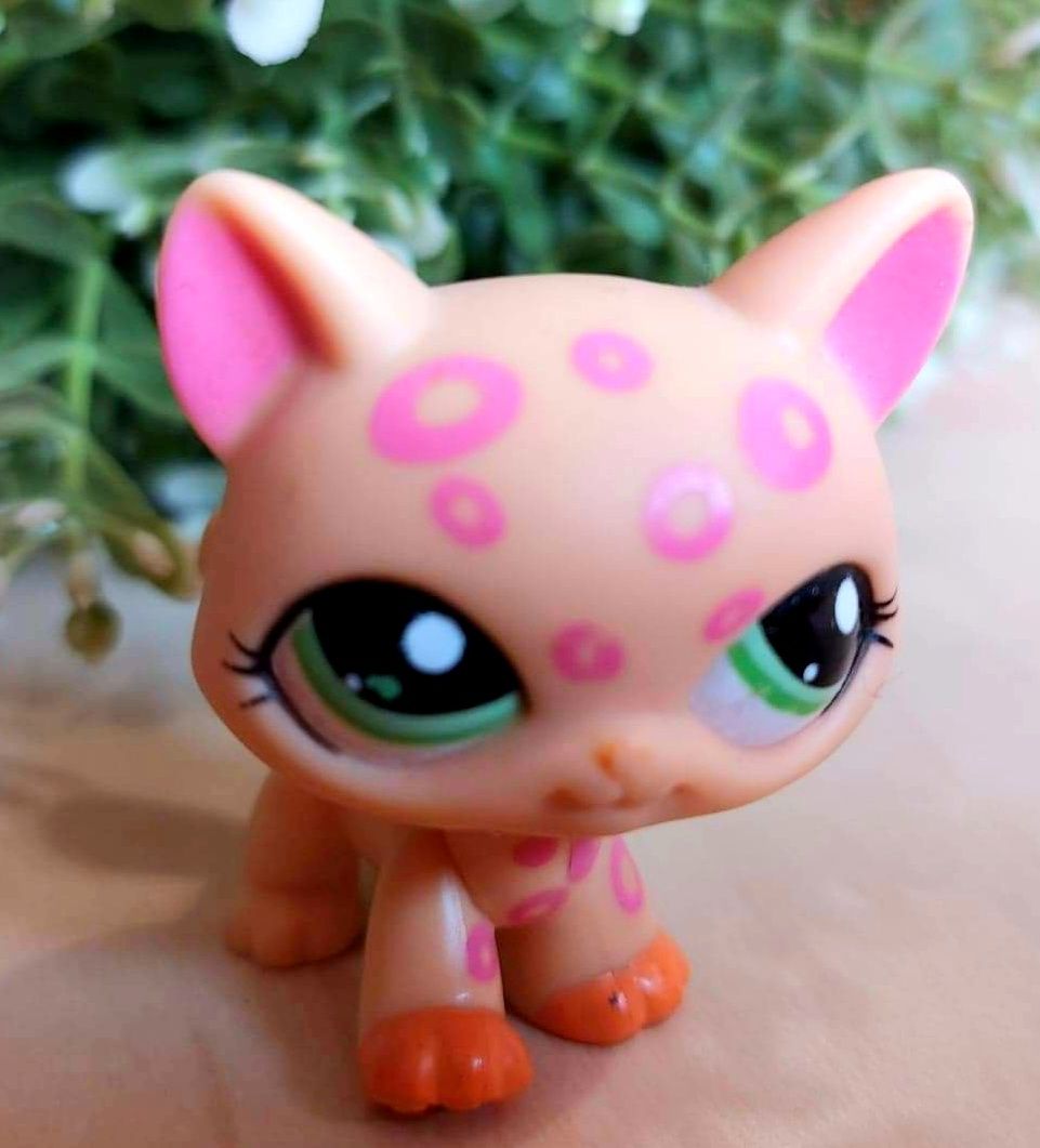 Littlest Pet Shop ORANGE & PINK SPOTTED CHEETAH #1869 Kot 

Unikat