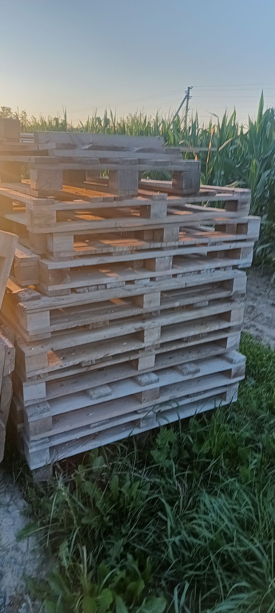 Продам піддони б/у.