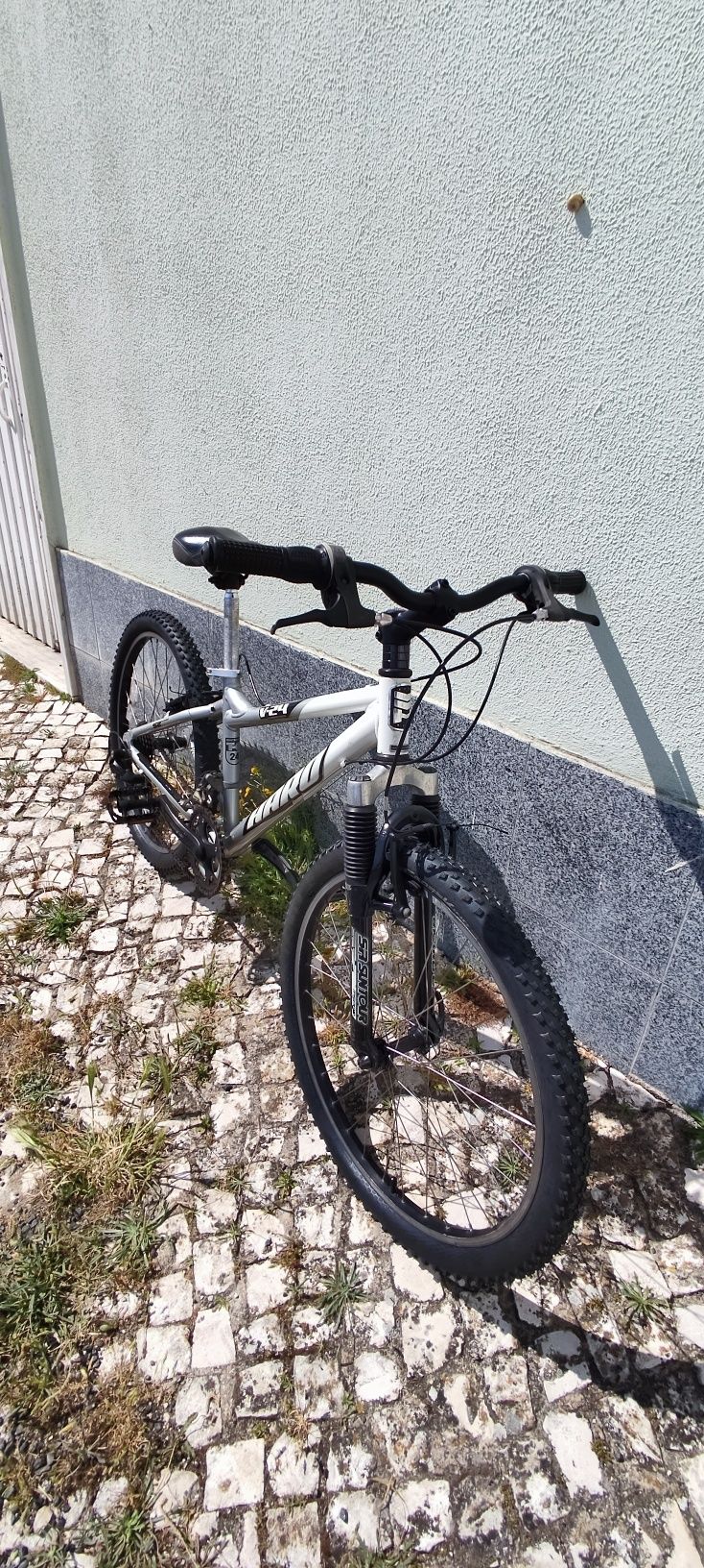 Bicicleta Beach Cruiser e Haro Bike BTT