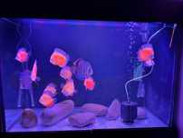 Aquario 400 lts complecto
