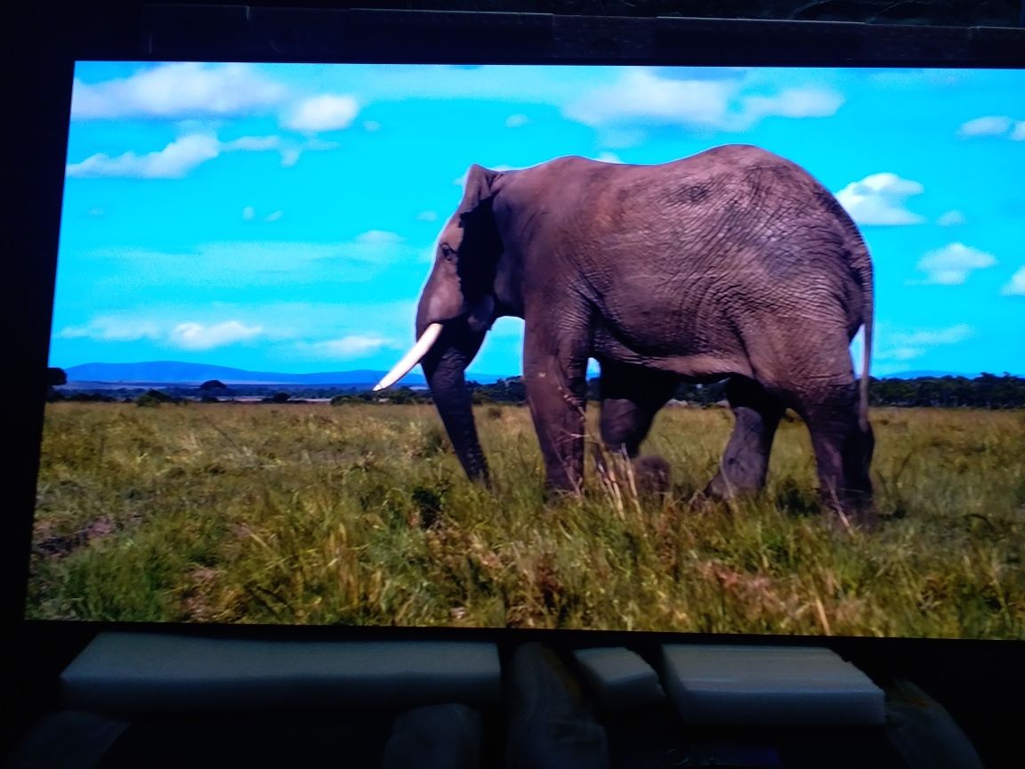 Телевізор Samsung qe65s95b OLED