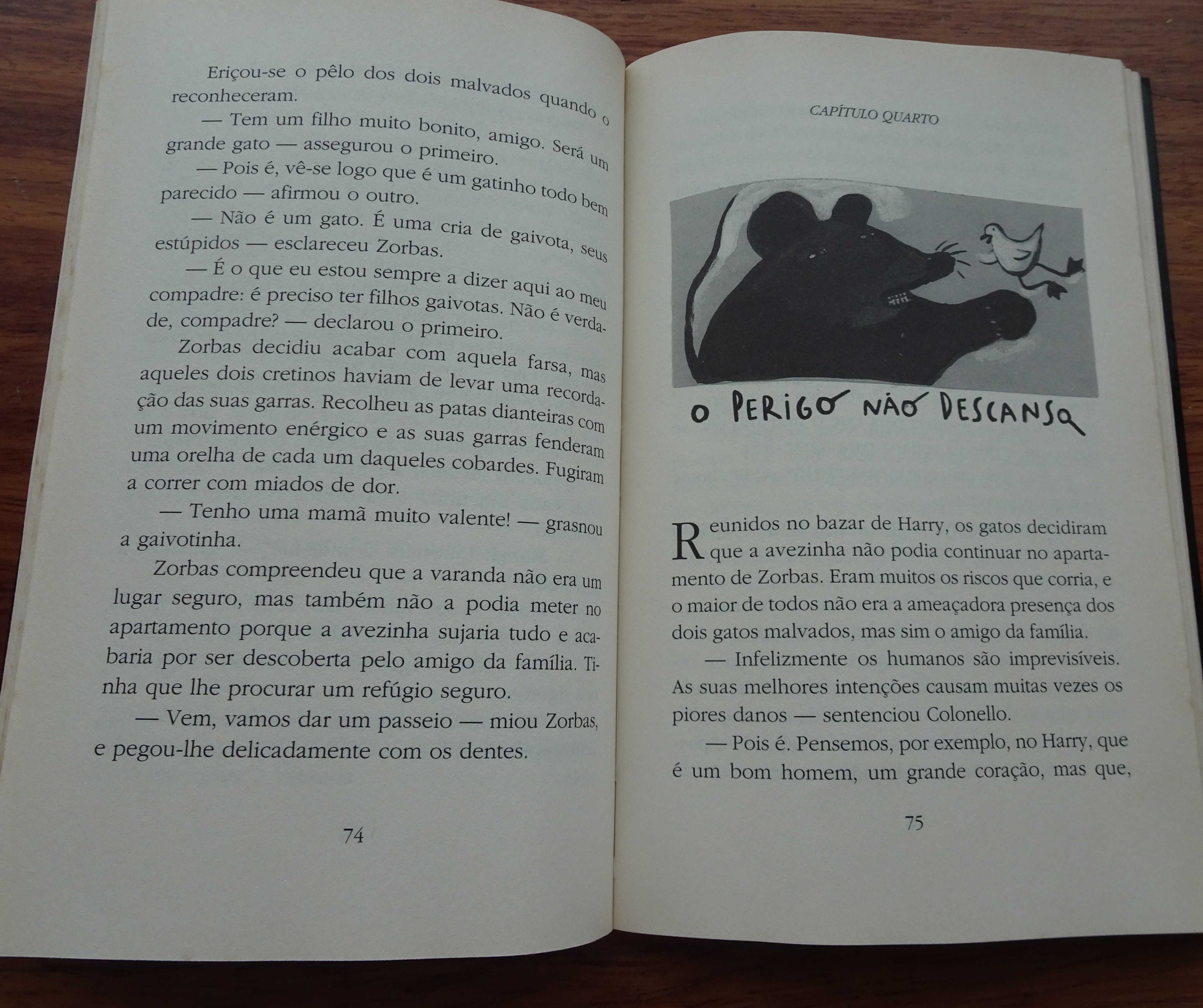 História de Uma Gaivota e do Gato Que A Ensinou A Voar