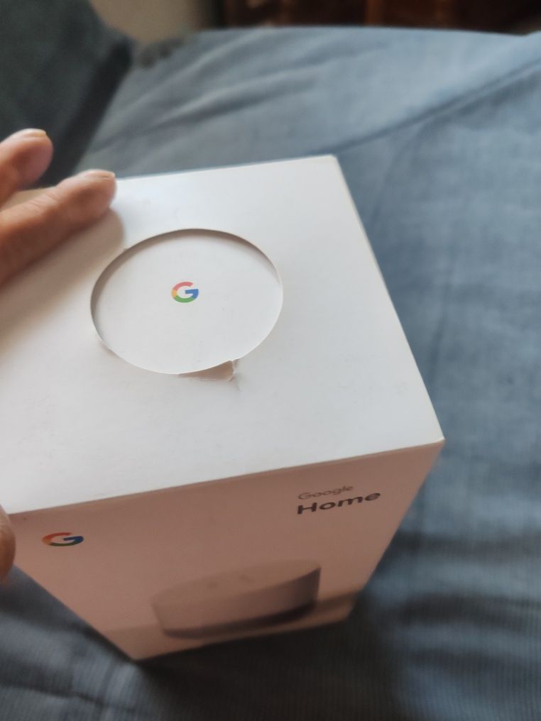 Google home e home mini