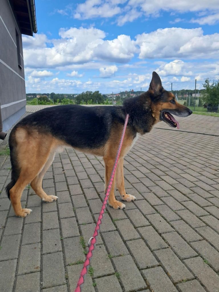 Piękny i kochany Leni chciałby mieć już domek!!