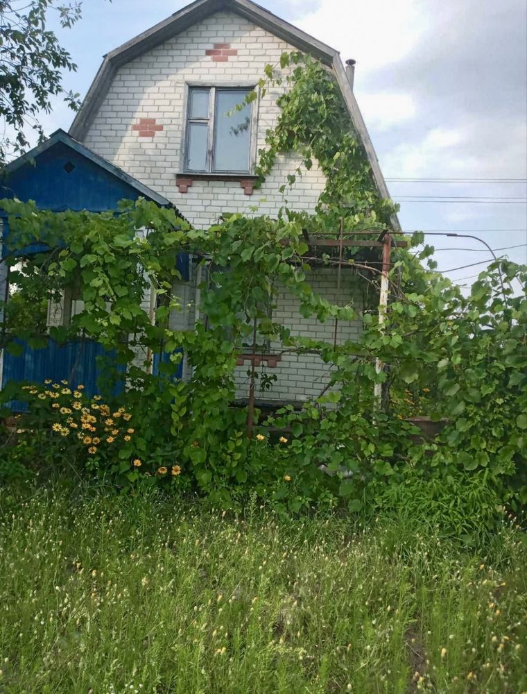 Продається дача у Березанці