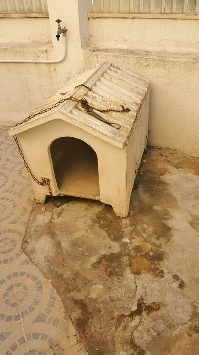Casota para cão médio