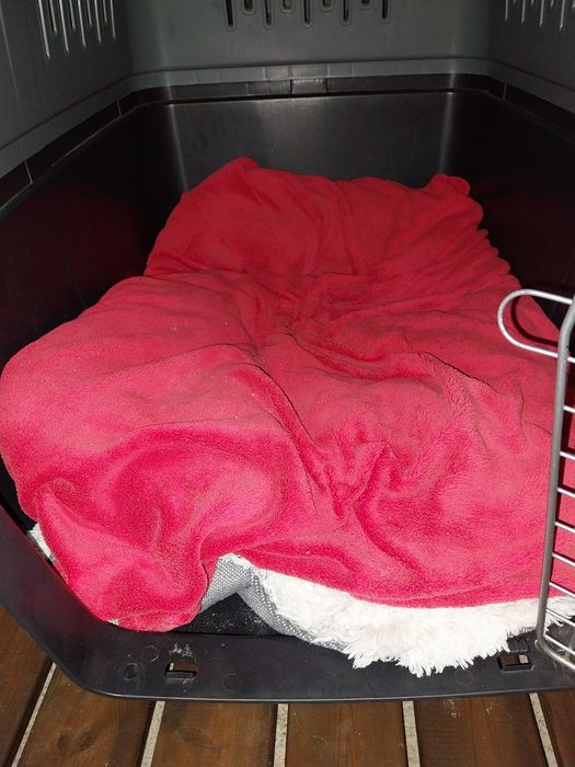 Box cão de porte médio grande