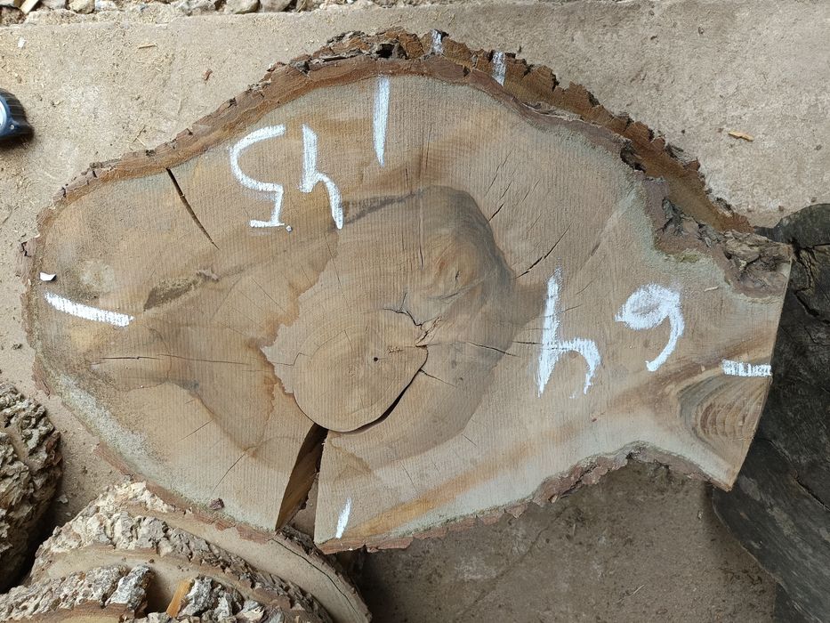 Plastry jesionowe i z orzecha włoskiego, suche  na stoliki itp.