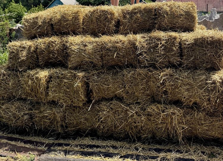 Солома в тюках