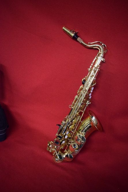 Saxophone. Roy Benson Wind Instroments AS-201, N 30