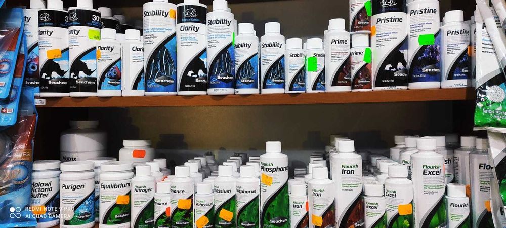 Loricario, Loricario Red - TINA ZOO ZABRZE