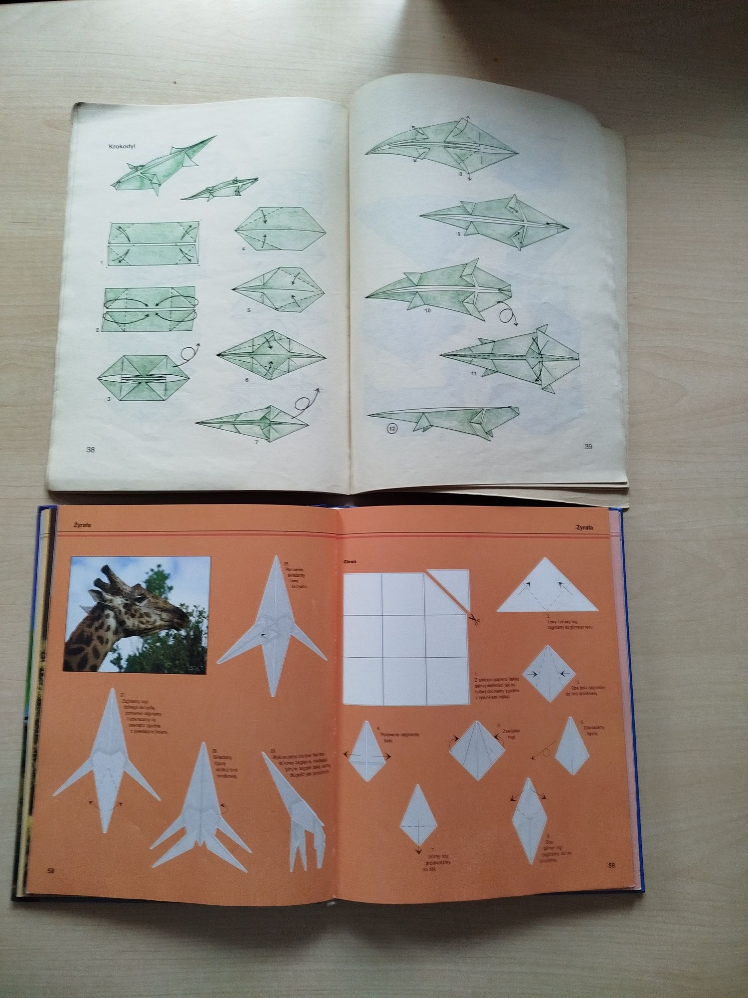 Masakatsu Yoshida Origami Hector Rojas Origami Papierowe zoo