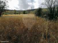Terreno  para venda