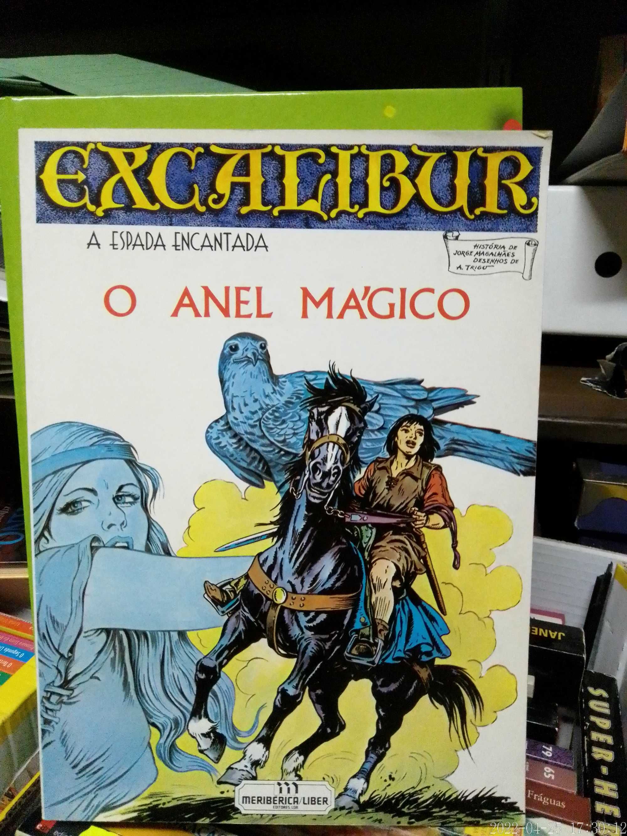 LIVRO Excalibur A Espada Encantada O ANEL MÁGICO BD Banda Desenhada