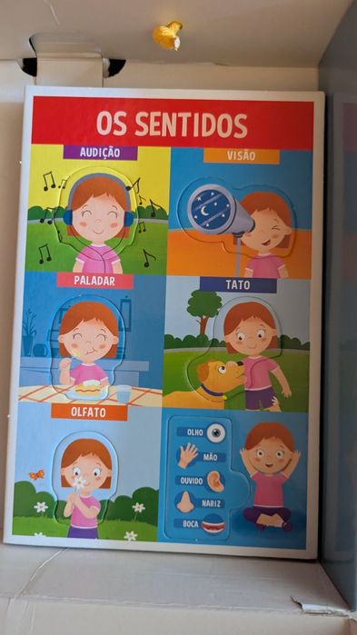 Montessori Corpo Humano