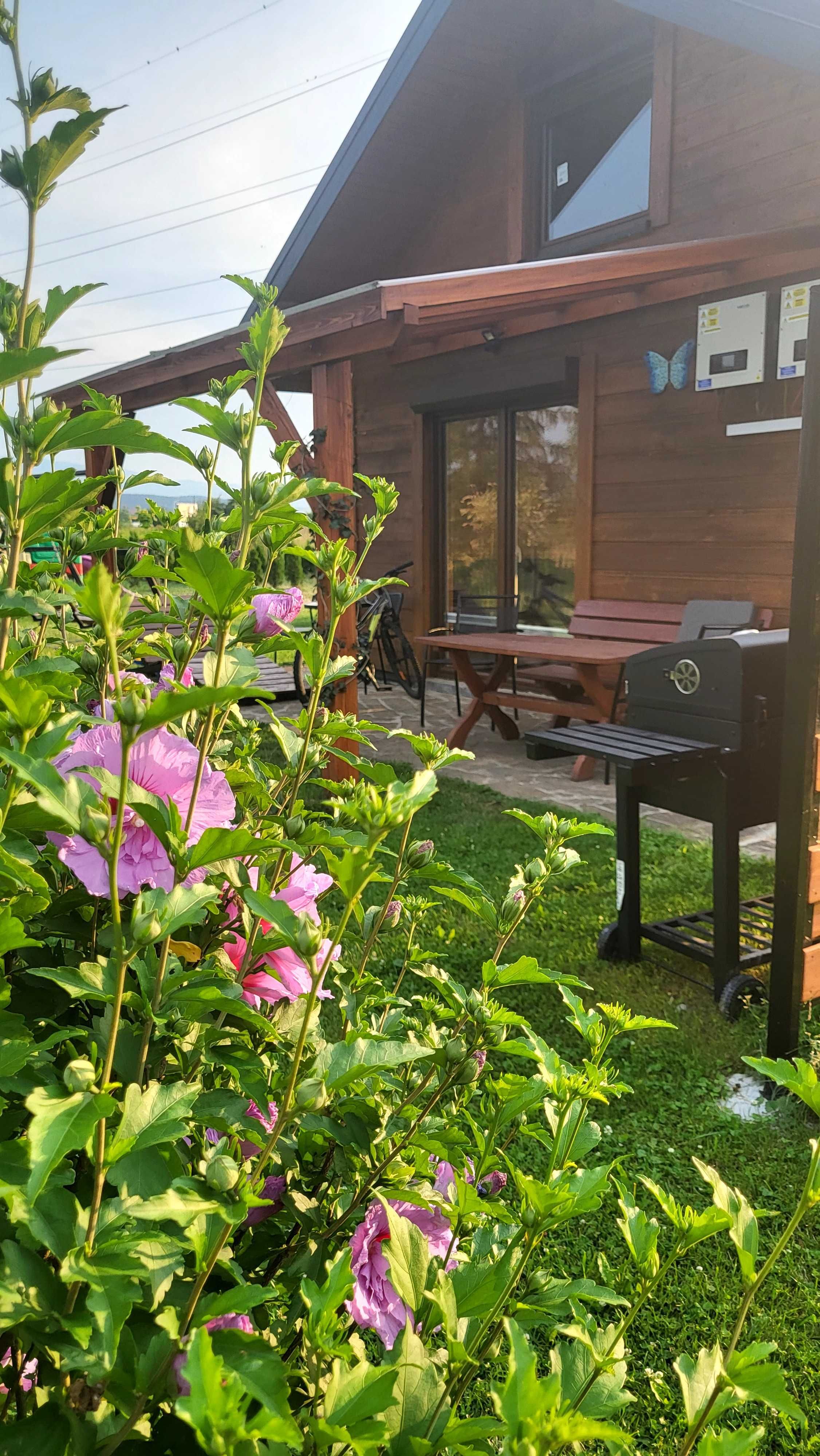 Domki całoroczne Noclegi ŁOWISKO STARY SĄCZ Beskid JACUZZI, park wodny