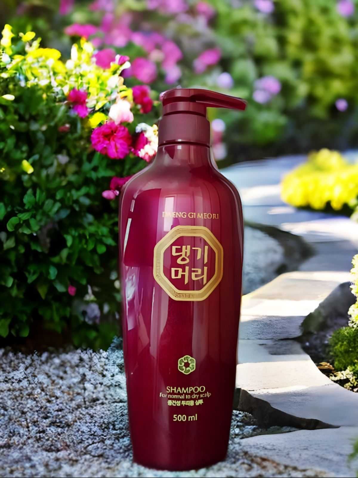 Шампунь Daeng Gi Meo Ri Shampoo for normal to dry Scalp, 500 мл